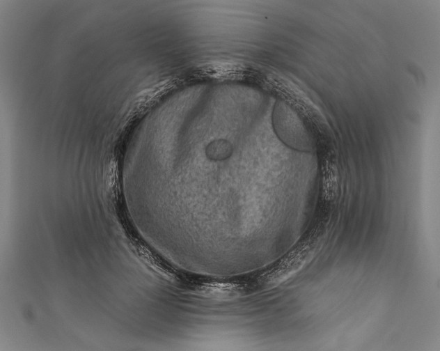 X0000112170748200908211426