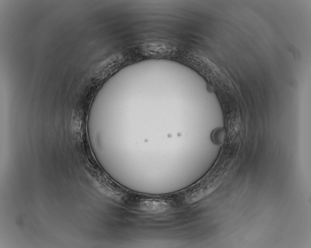 X0000112170749200908211426