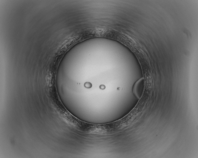 X0000112170750200908211426