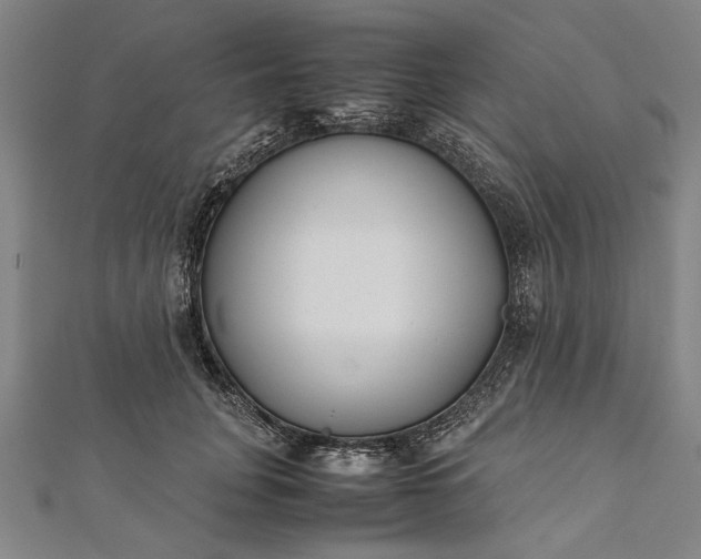 X0000112170751200908211426