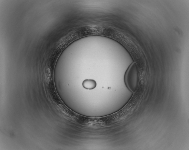 X0000112170752200908211426