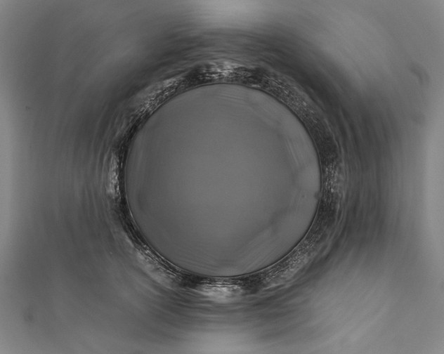 X0000112170754200908211426