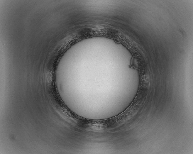 X0000112170756200908211426