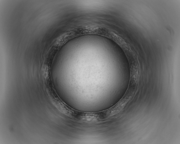 X0000112170758200908211426