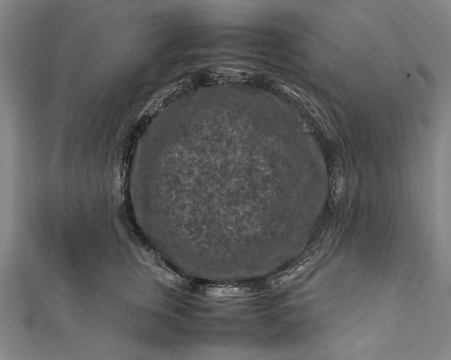 X0000112170759200908211426