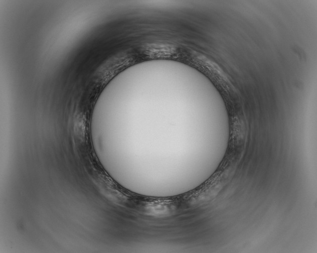 X0000112170761200908211426