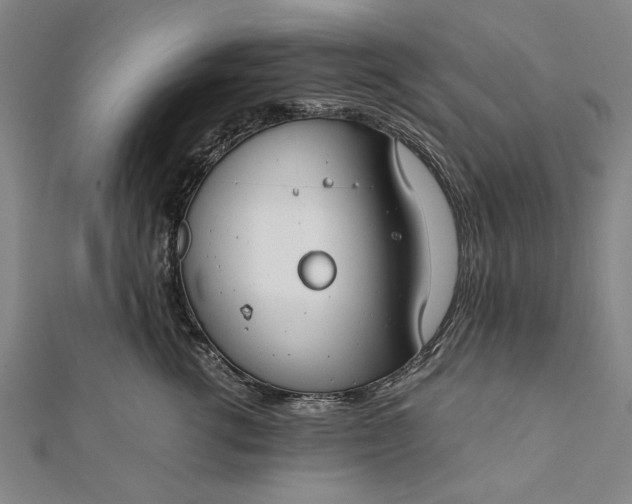 X0000112170762200908211426