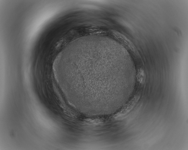 X0000112170763200908211426