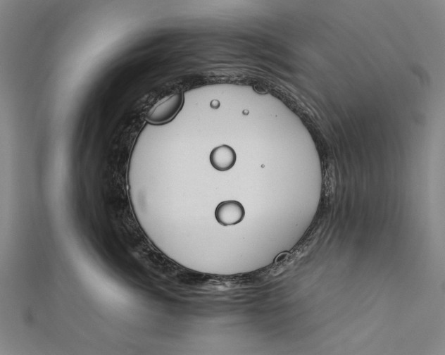 X0000112170764200908211426