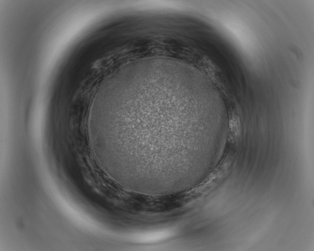 X0000112170765200908211426