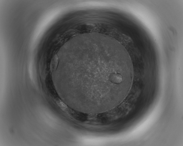 X0000112170766200908211426