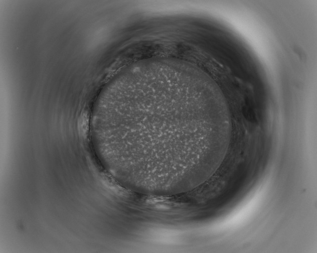 X0000112170767200908211426