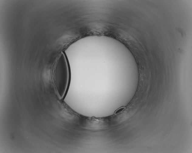 X0000112170768200908211426