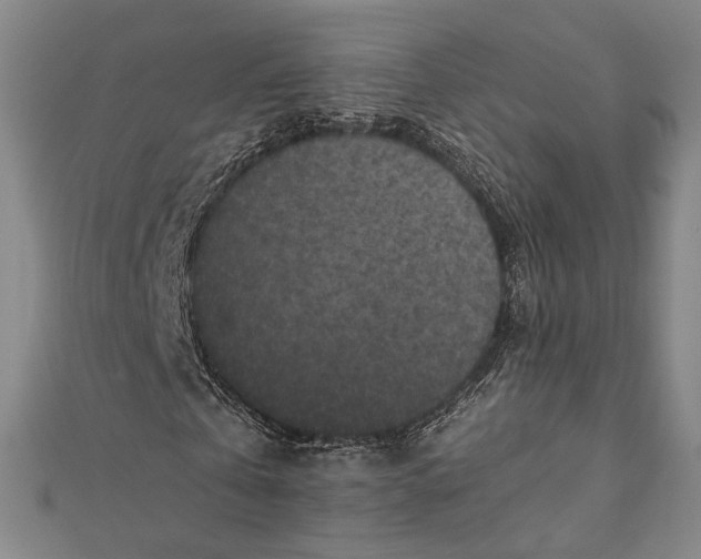 X0000112170769200908211425