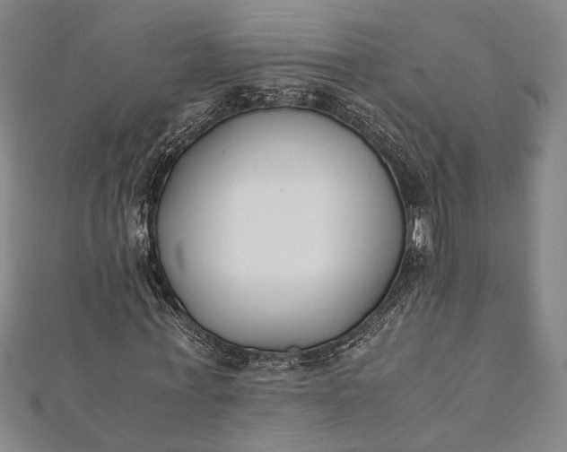 X0000112170771200908211425