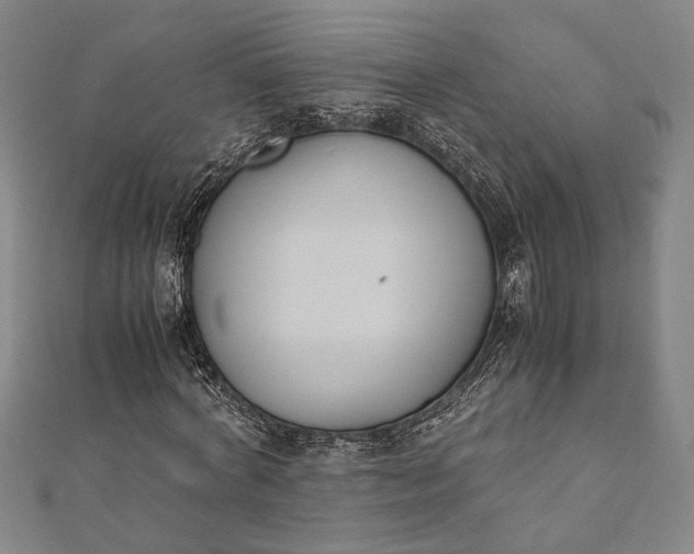 X0000112170772200908211425