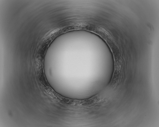 X0000112170773200908211425