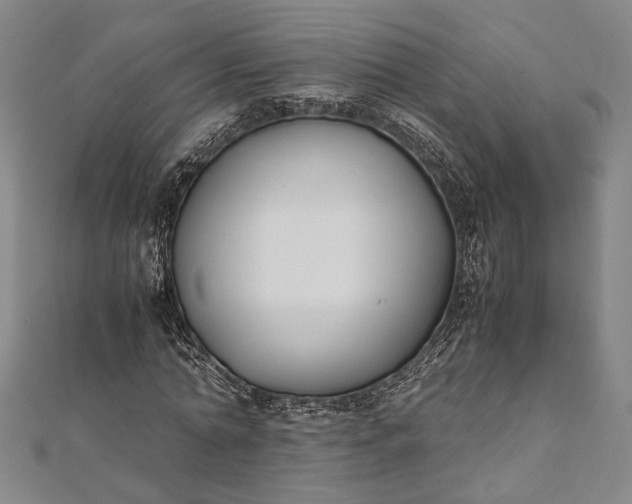 X0000112170774200908211425