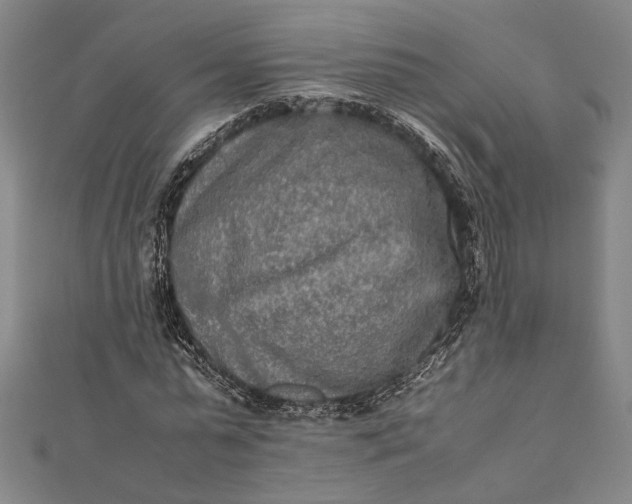 X0000112170775200908211425