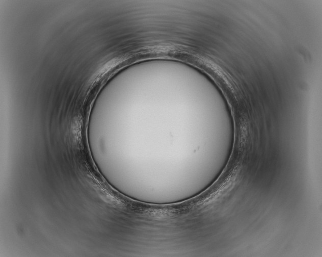 X0000112170778200908211425