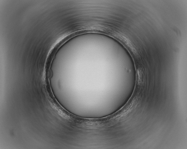 X0000112170780200908211425