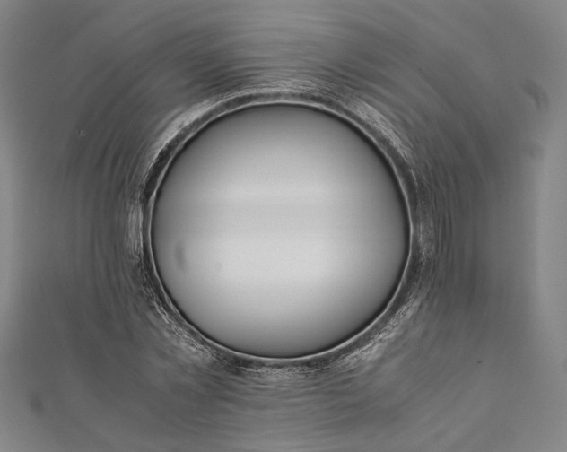 X0000112170781200908211425