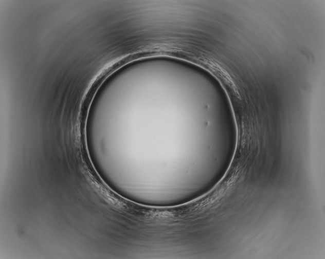 X0000112170784200908211425