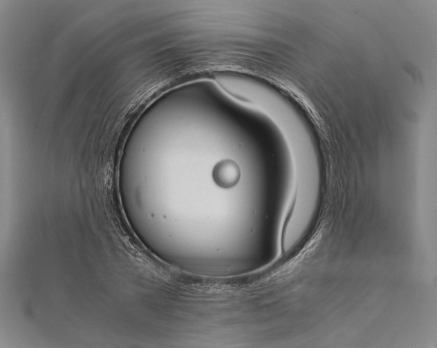 X0000112170785200908211425