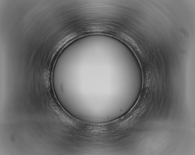 X0000112170786200908211425