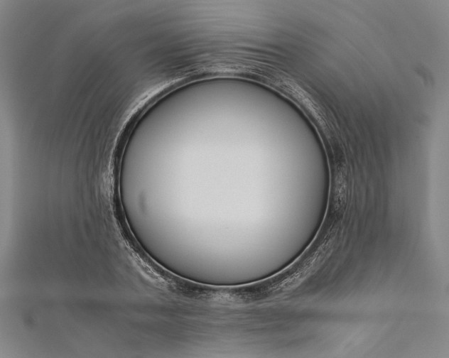 X0000112170787200908211425