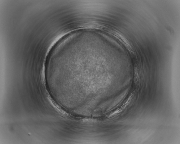 X0000112170788200908211425