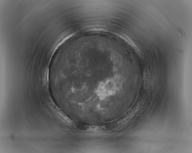 X0000112170790200908211425