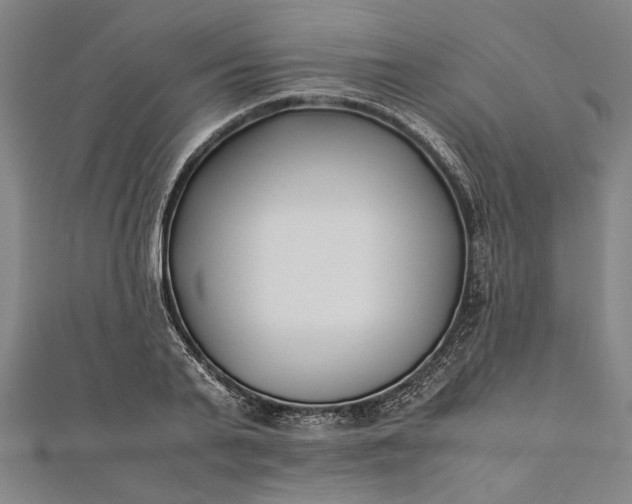 X0000112170791200908211425