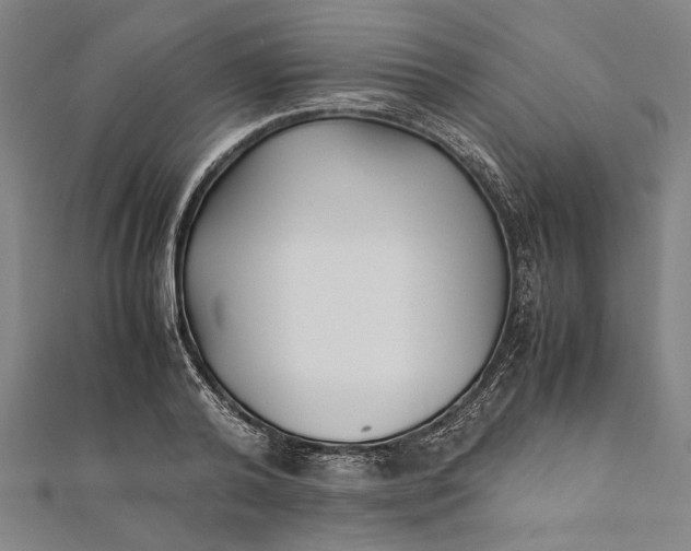 X0000112170792200908211425