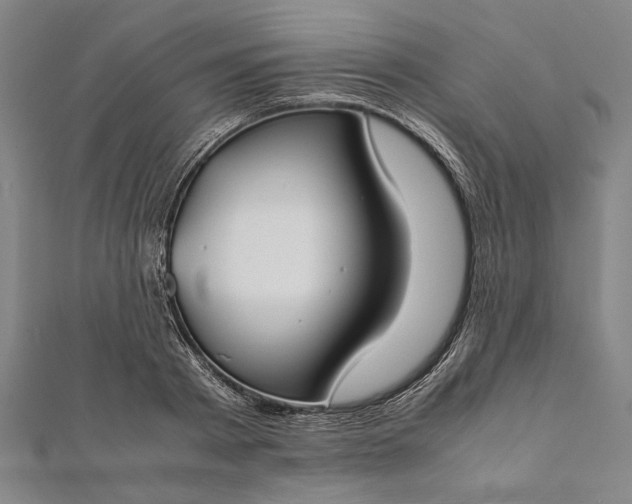 X0000112170793200908211425