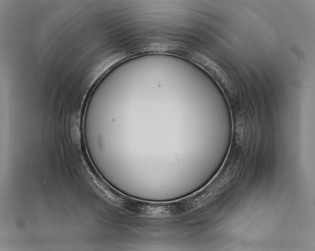 X0000112170794200908211425