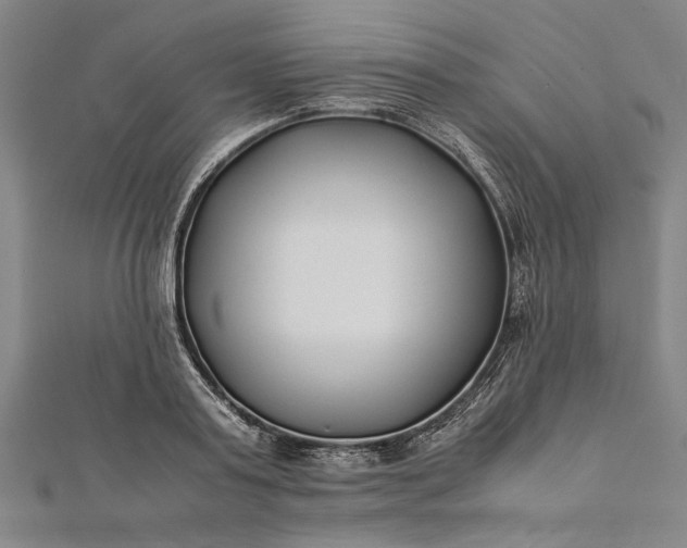 X0000112170795200908211425