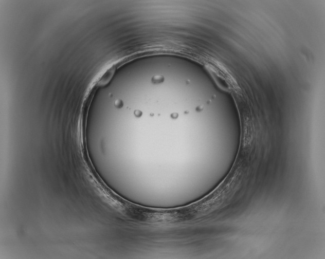 X0000112170796200908211425