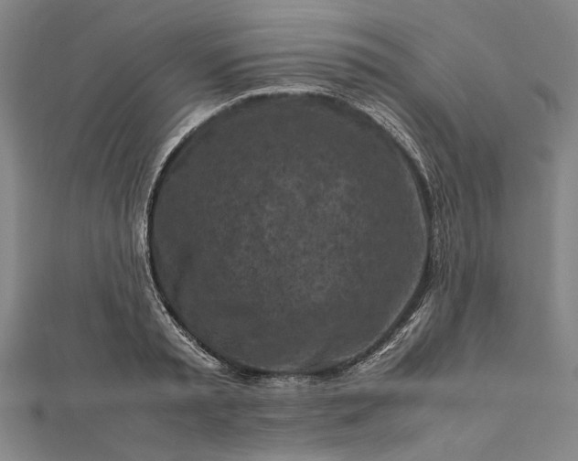 X0000112170797200908211425