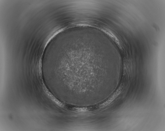 X0000112170798200908211425