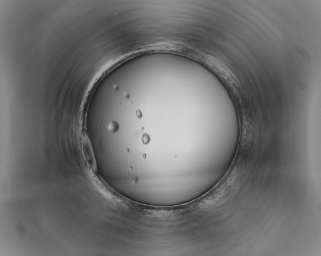 X0000112170800200908211425