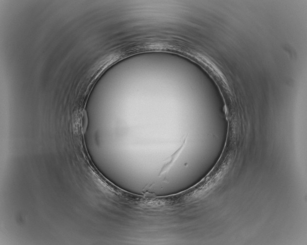 X0000112170801200908211425