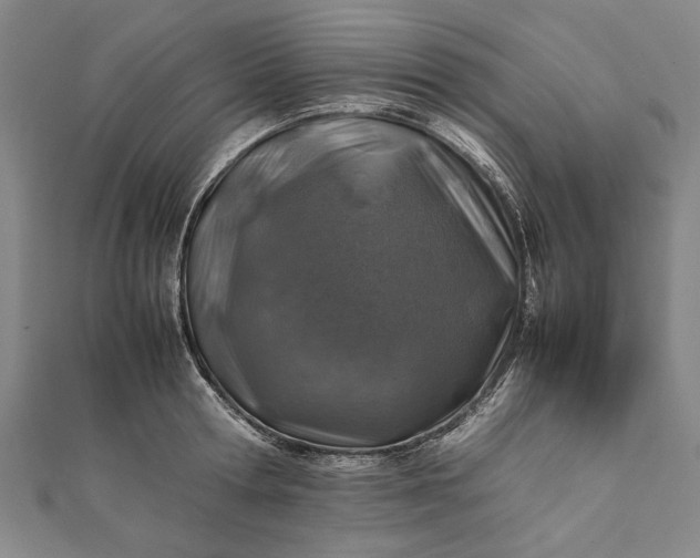 X0000112170802200908211425