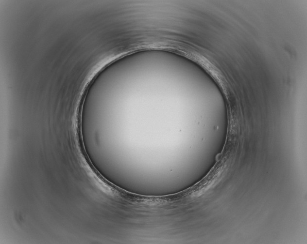 X0000112170803200908211425