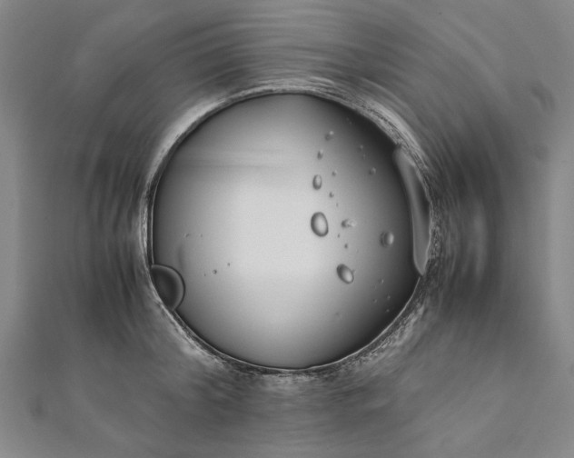 X0000112170804200908211425