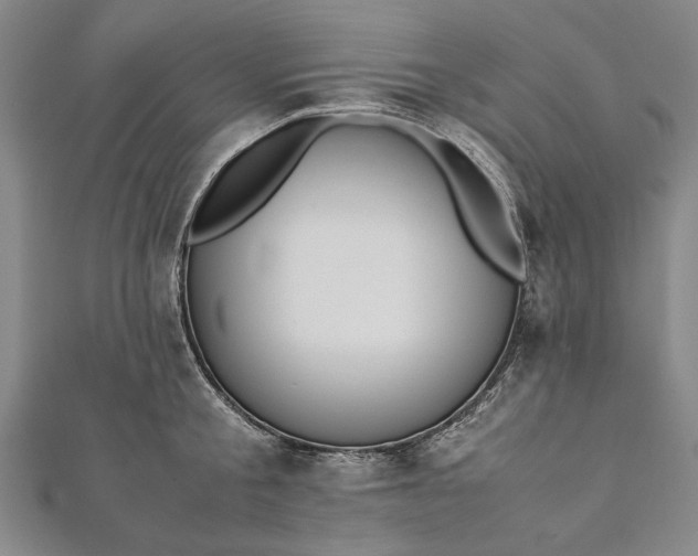 X0000112170805200908211425