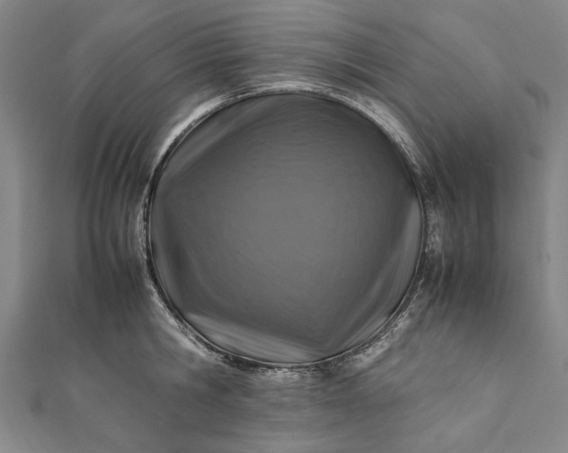 X0000112170806200908211425