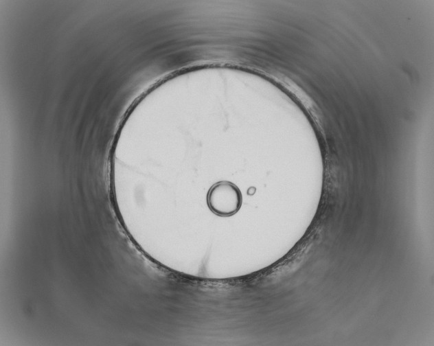 X0000112170807200908211425