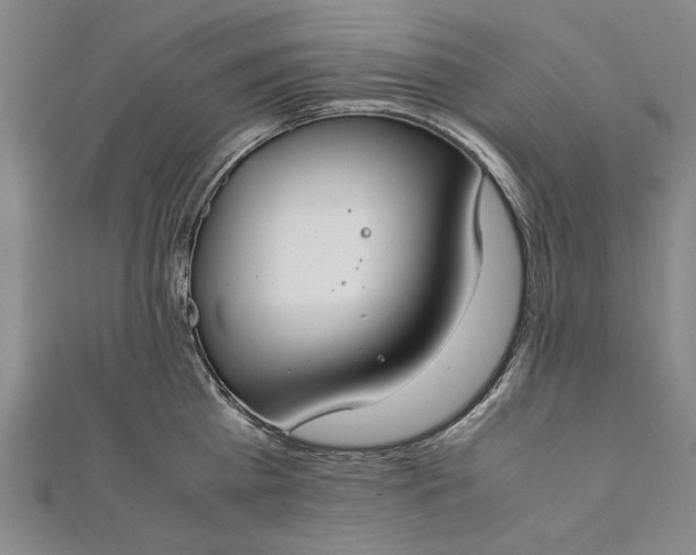 X0000112170809200908211425