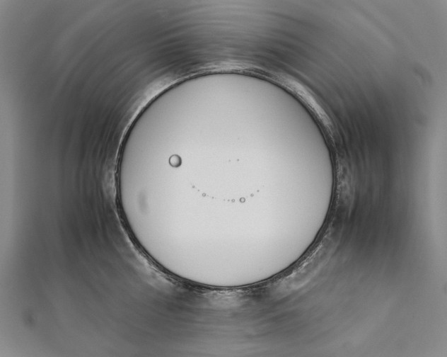 X0000112170810200908211425